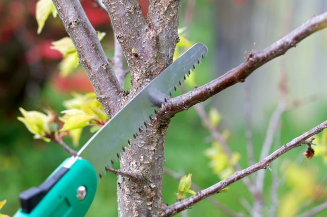 Когда нужно выполнить небольшой объем работ по дереву в краткие сроки, весьма кстати приходится ножовка