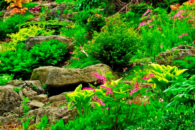 Классическая альпийская горка отличается от остальных цветников наличием крупного камня посередине, который символизирует собой пик горной вершины. Пространство вокруг него заполняется валунами меньшего размера, а между ними высаживают различные растения