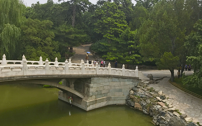 Украшением китайского сада станет искусственный водоем. Фото с портала Стройкомплекса Москвы